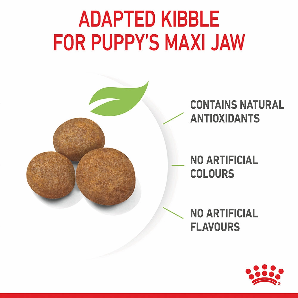 Royal Canin - Maxi Puppy Dog Dry Food (4kg)