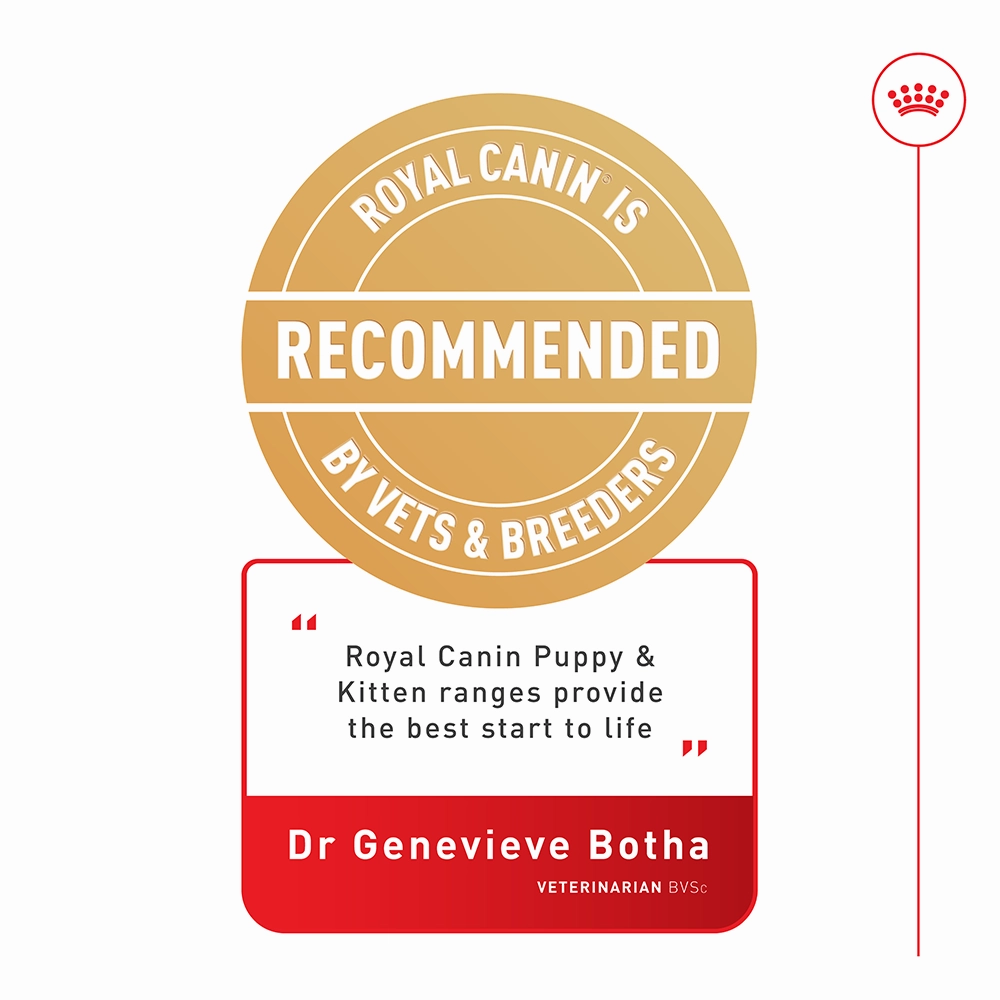 Royal Canin - Medium Puppy Dog Dry Food (15kg)