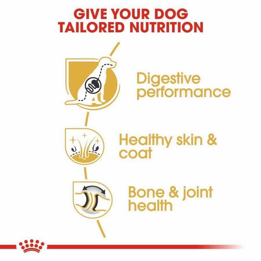 Royal Canin German Shepherd Dry Food and Maxi Adult Dog Wet Food Combo
