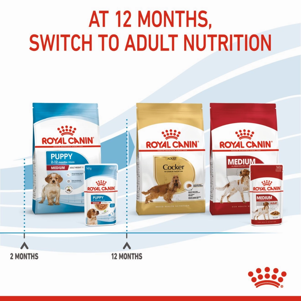 Royal Canin Medium Starter Dry Food for Medium Breed Dog and Puppies and Medium Puppy Dog Wet Food Combo