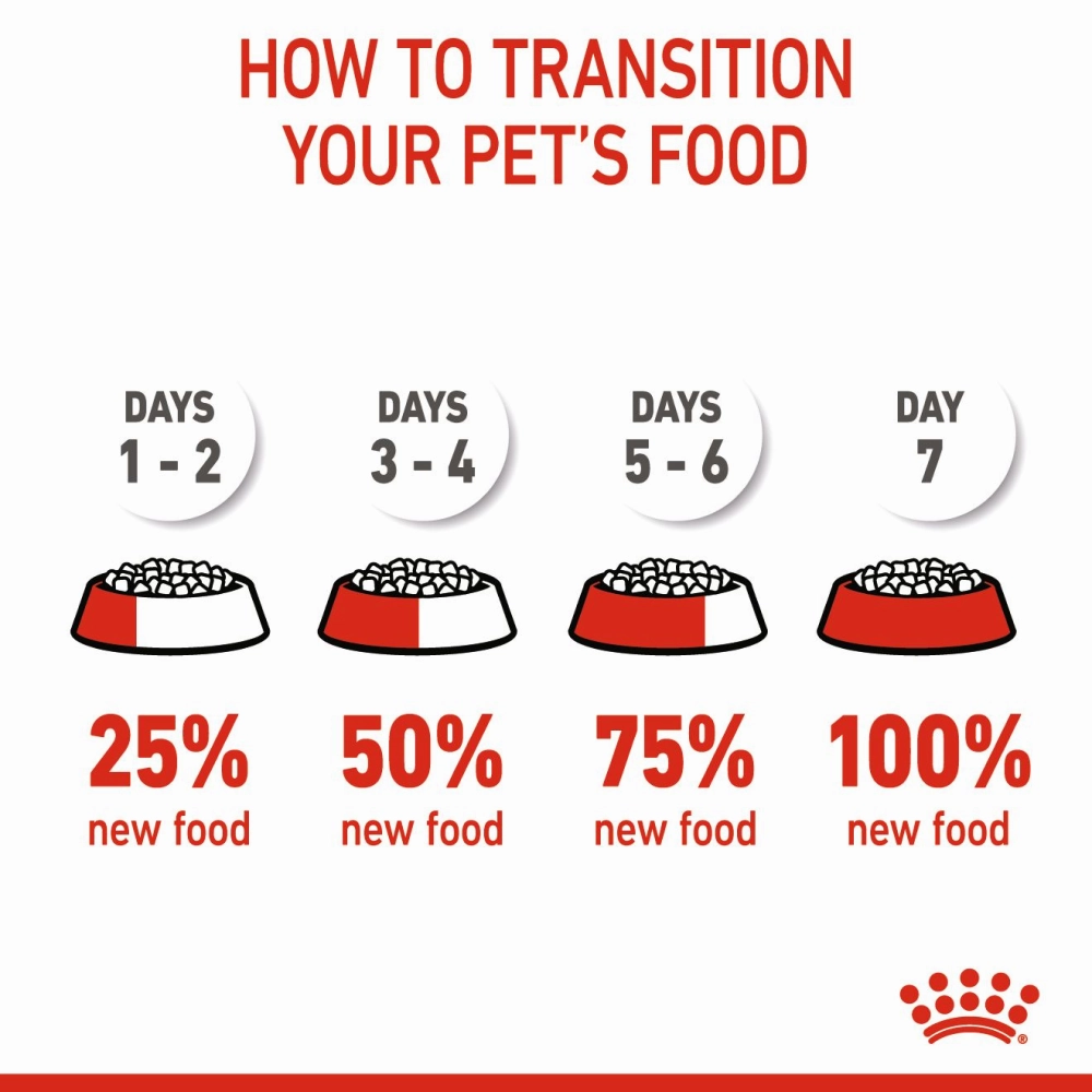 Royal Canin Medium Starter Dry Food for Medium Breed Dog and Puppies and Medium Puppy Dog Wet Food Combo