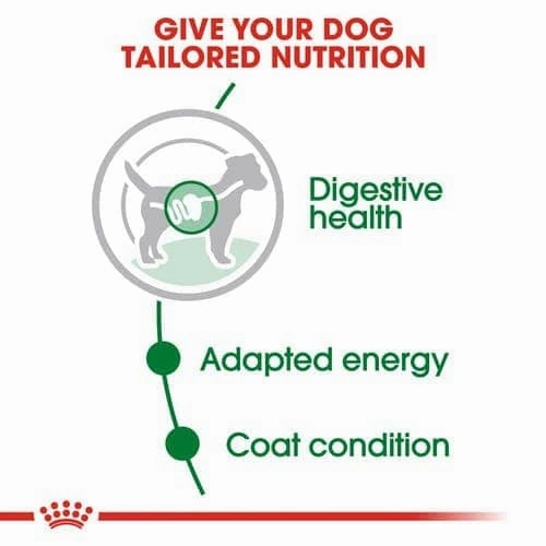 Royal Canin Mini Adult Gravy Dog Wet Food