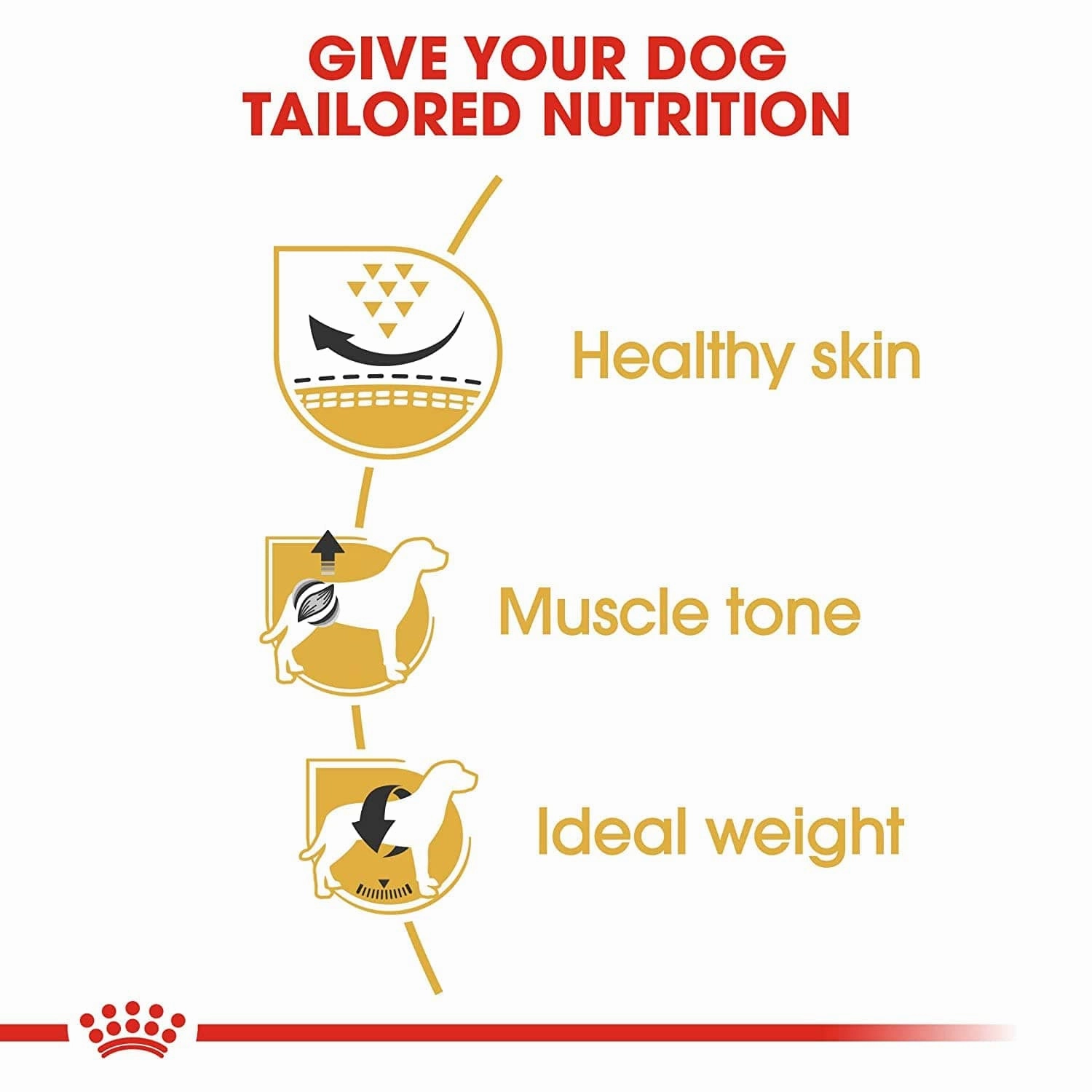 Royal Canin Pug Adult Dog Dry Food
