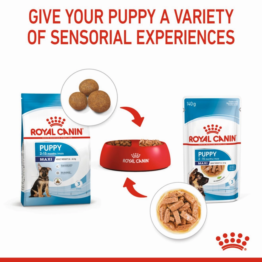 Royal Canin Rottweiler Puppy Dry Food and Maxi Puppy Dog Wet Food Combo