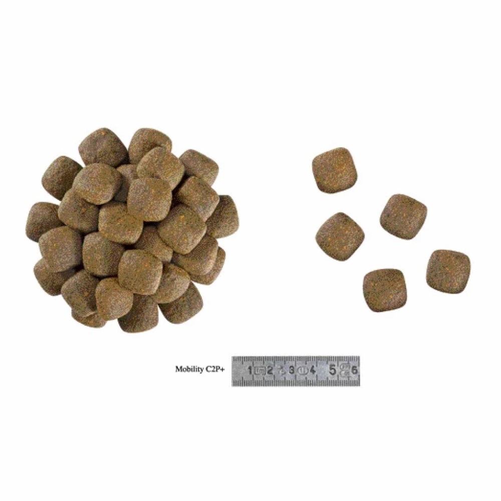 Royal Canin Veterinary Diet Mobility C2P  Dog Dry Food