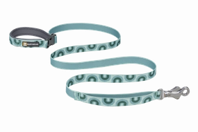 Ruffwear Crag Dog Leash in Grassy Oxbow