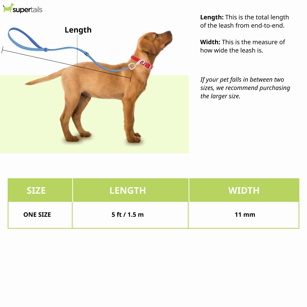 Ruffwear Just a Cinch Leash for Dogs (Aurora Teal)