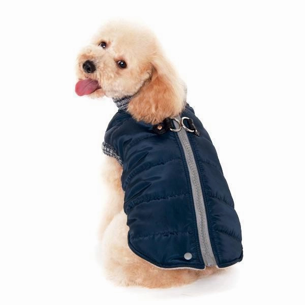 Runner Dog Coat Navy 4XL