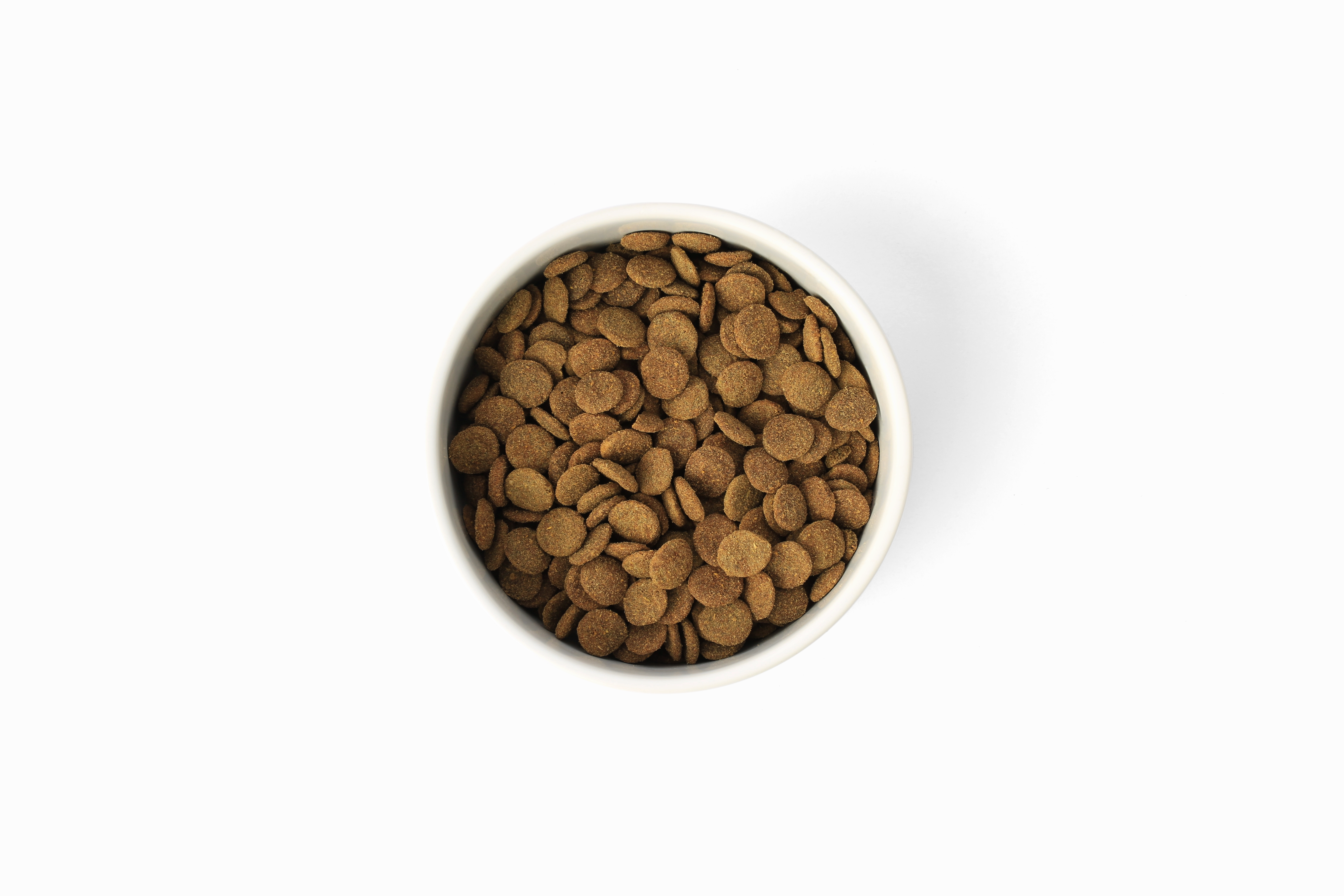 SavourLife - Grain Free Turkey CarePlus Lean Dog Dry Food (10kg)