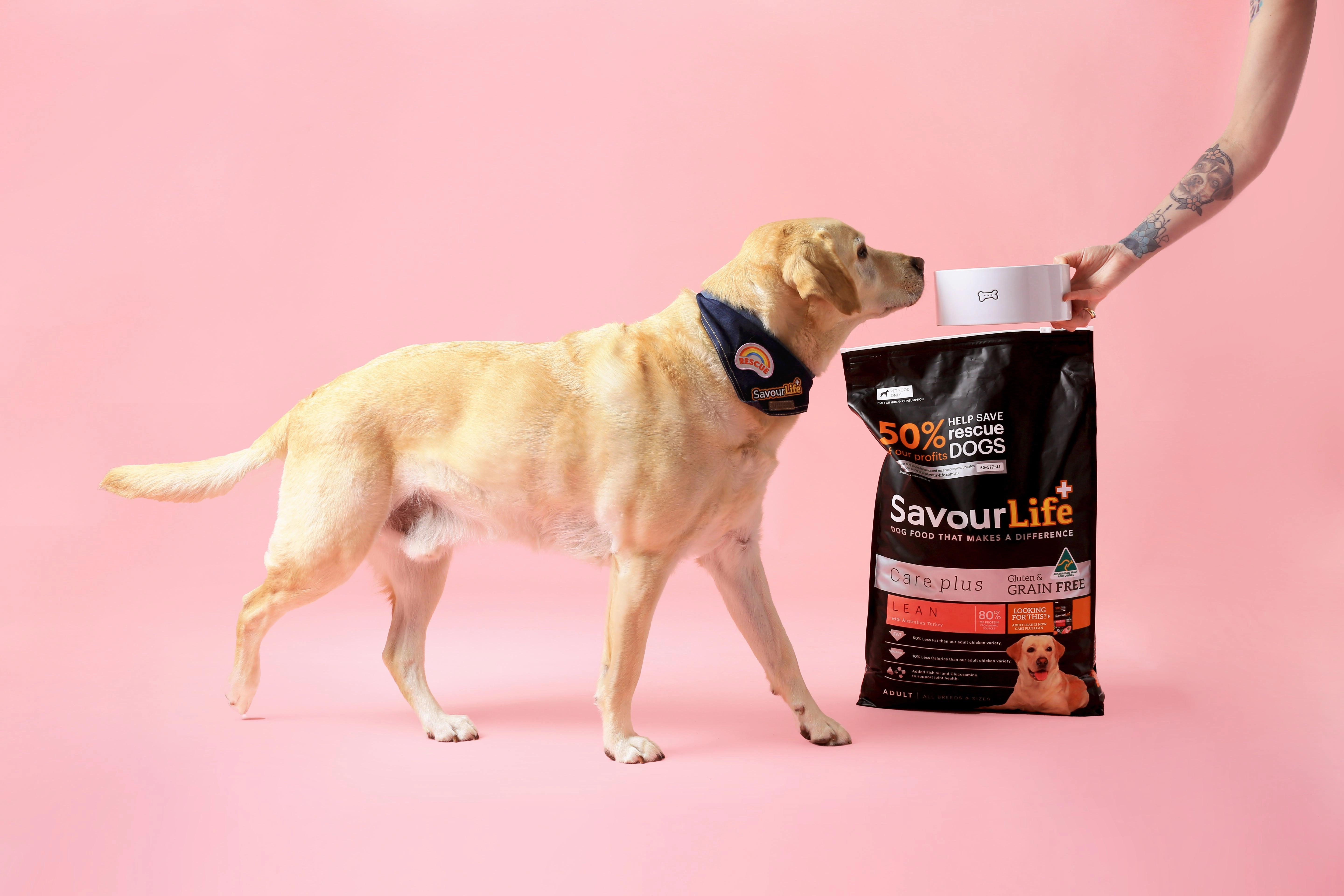 SavourLife - Grain Free Turkey CarePlus Lean Dog Dry Food (10kg)