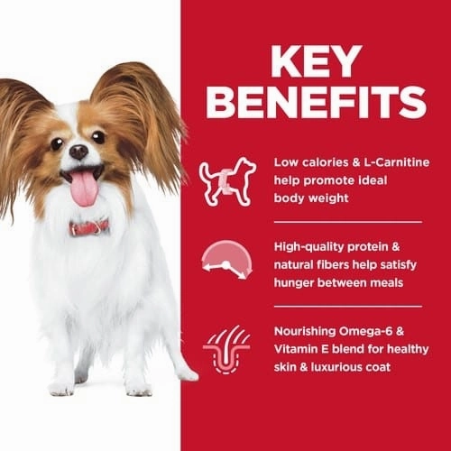 Science Diet Adult Light Small & Mini Chicken Meal & Barley Dry Dog Food, 4.5lb