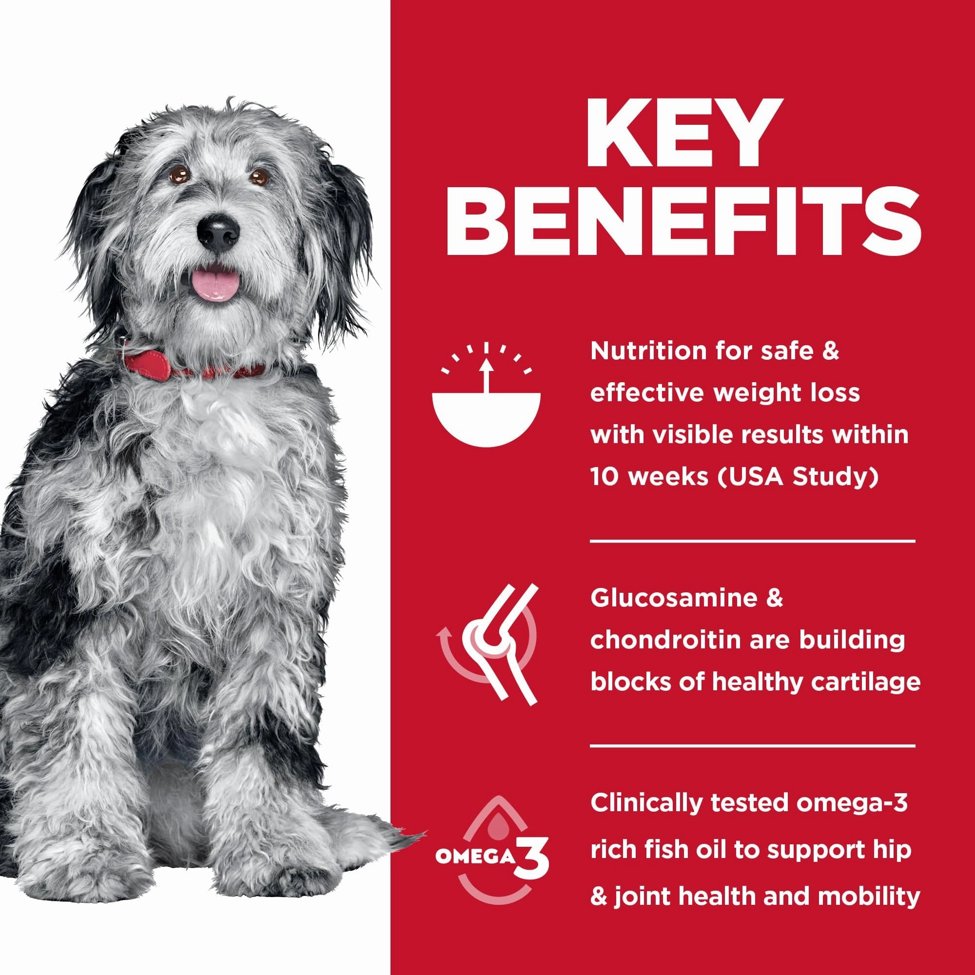 Science Diet Adult Perfect Weight & Joint Support Chicken Recipe Dry Dog Food