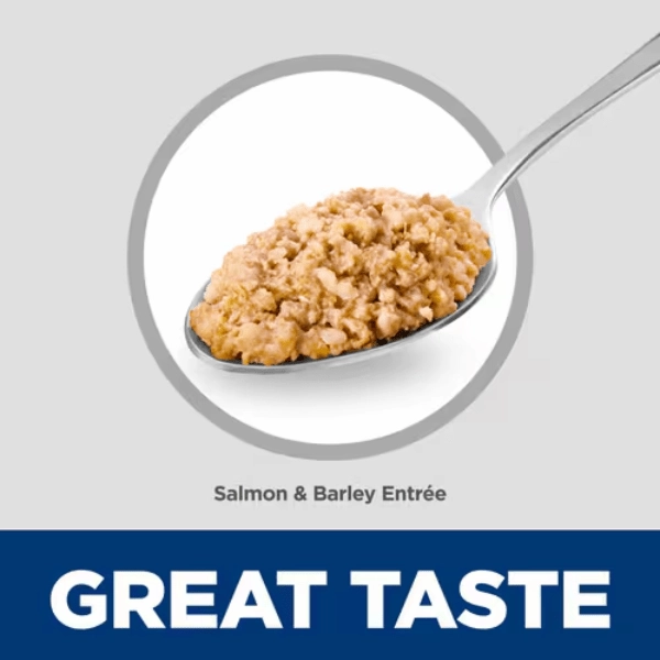 Science Diet Salmon & Barley Entree Adult Canned Dog Food, 13oz