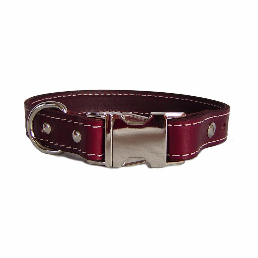 Seneca Adjustable Dog Collar