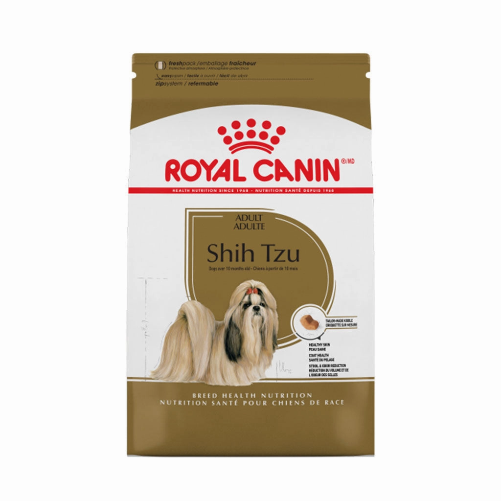 Shih Tzu Adult