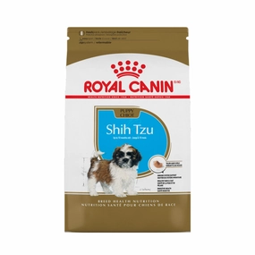 Shih Tzu Puppy