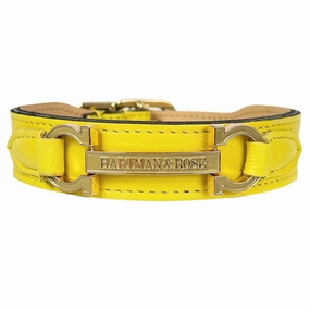 Signature Collection Dog Collar Canary Yellow/Gold