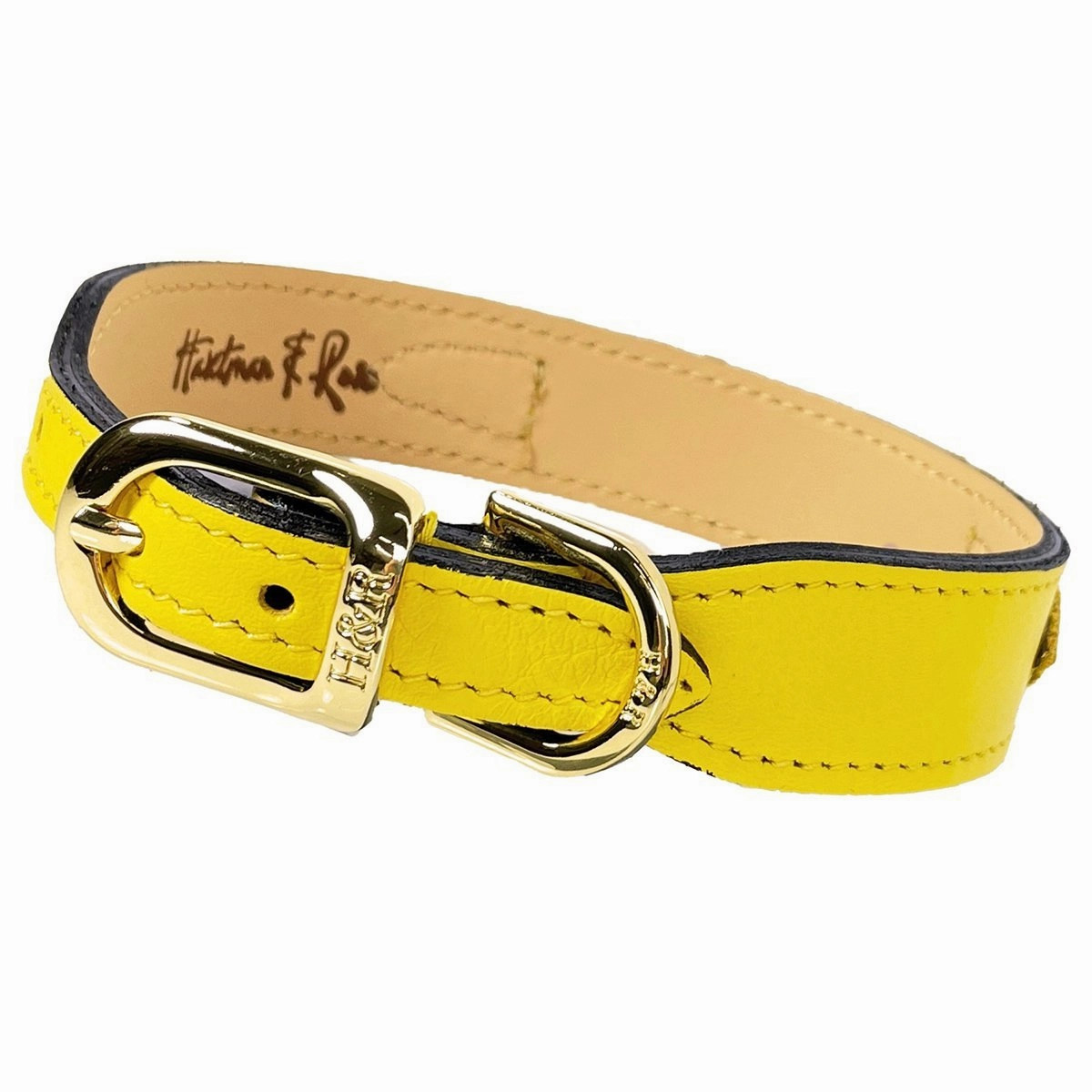 Signature Collection Dog Collar Canary Yellow/Gold