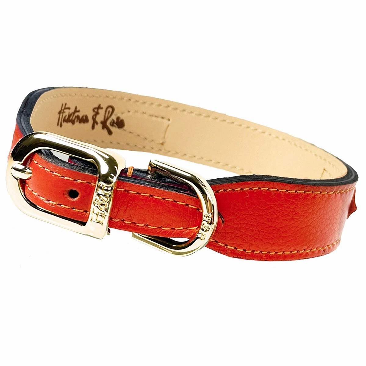 Signature Collection Dog Collar Tangerine/Gold