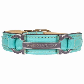 Signature Collection Dog Collar Turquoise/Nickel