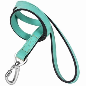 Signature Collection Dog Leash Turquoise/Nickel