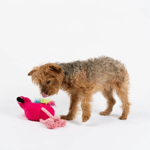 Silver Paw Flamingo Dog Toy