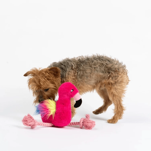 Silver Paw Flamingo Dog Toy