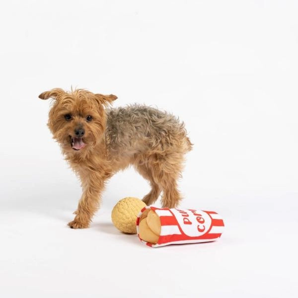 Silver Paw Pupcorn Dog Toy