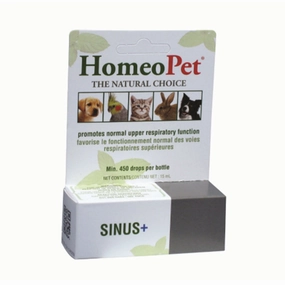 Sinus 