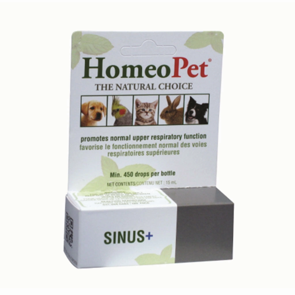 Sinus 