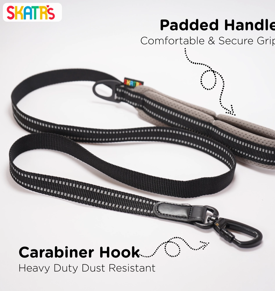 Skatrs Adventure in Style & Comfort Eclipse Leash for Dogs and Cats (Black)