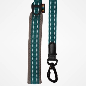Skatrs Adventure in Style & Comfort Ocean Wave Leash for Dogs and Cats (Blue)