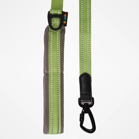 Skatrs Adventure in Style & Comfort Tropical Leash for Dogs and Cats (Green)