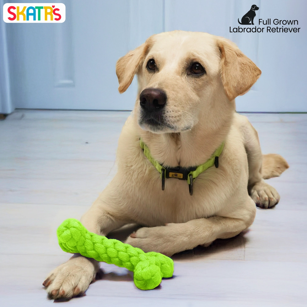 Skatrs Bone Shaped Rope Chew Toy for Dogs and Cats (Neon Green)