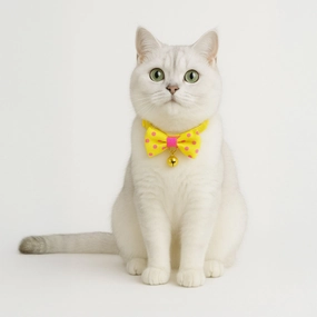 Skatrs Collar with Bow for Dogs and Cats (Yellow)