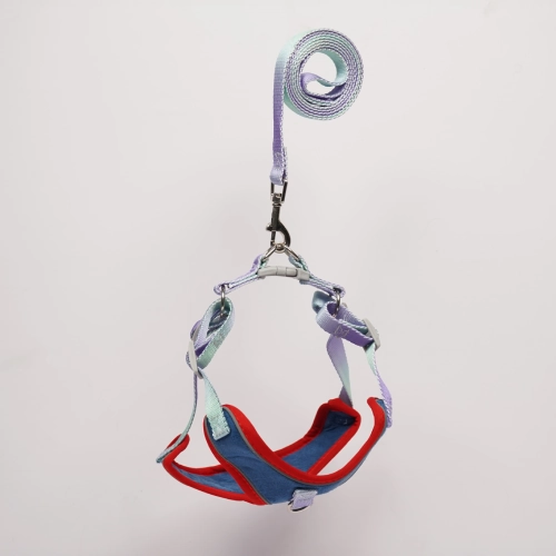 Skatrs Everyday Ready Harness & Leash Set for Small Breed Dogs & Cats (Blue)
