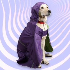 Skatrs Full Coverage Cape Style Raincoat for Dogs and Cats (Purple)