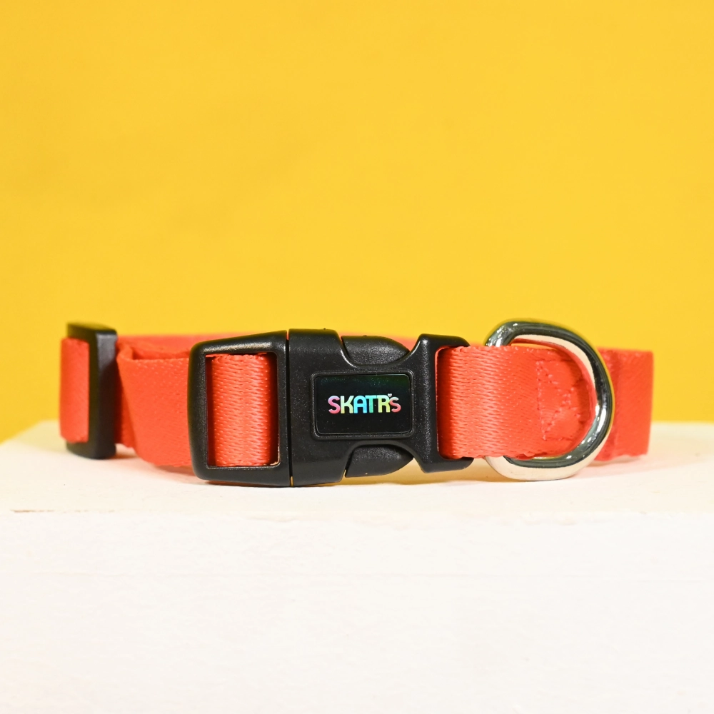 Skatrs Premium Adjustable Collar for Dogs (Red)