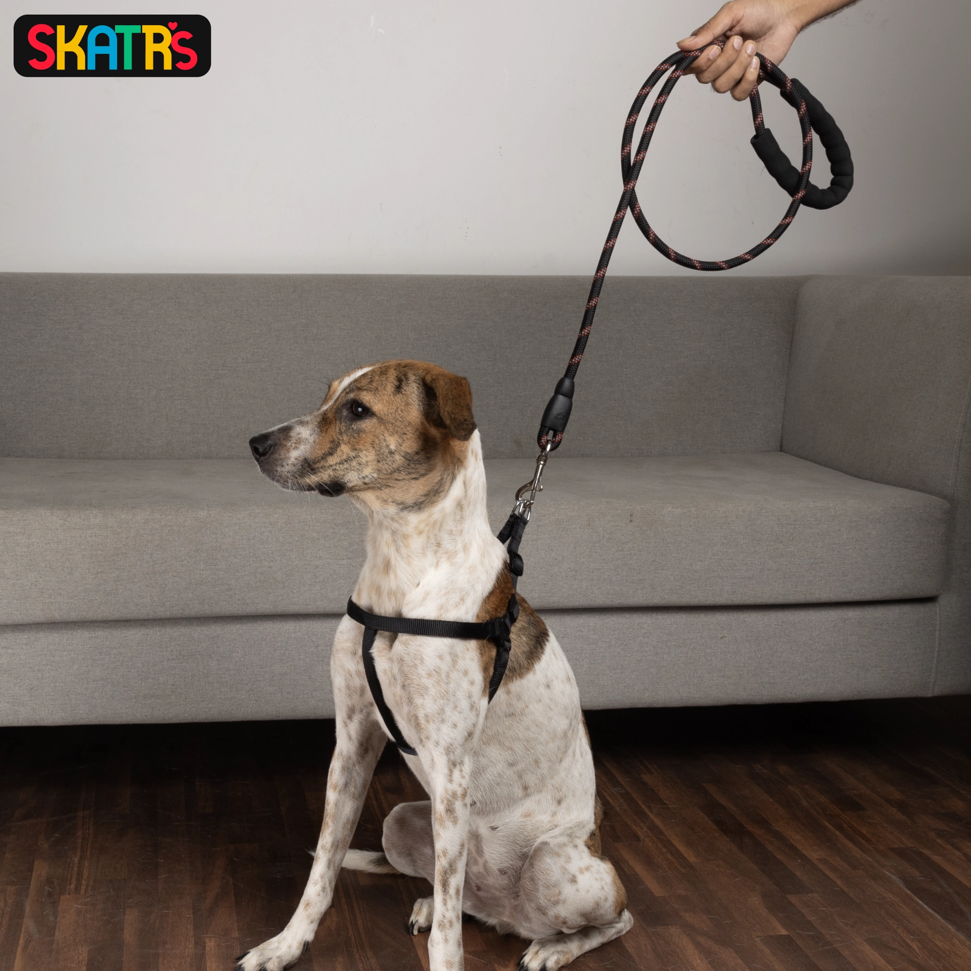 Skatrs Reflective Nylon Rope Leash for Dogs (Black/Red)