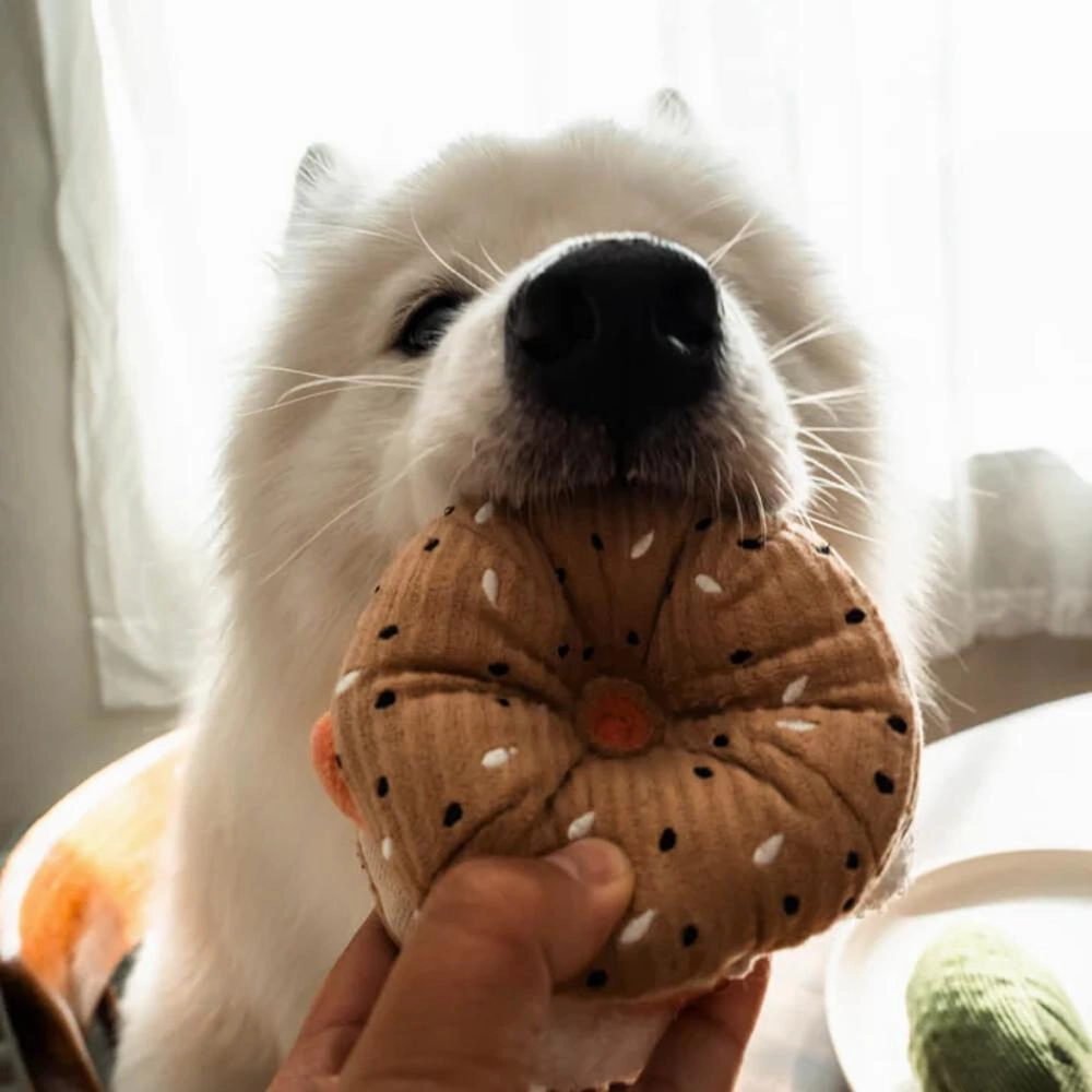 Snuffle Bagel with Pickle Dog Toy