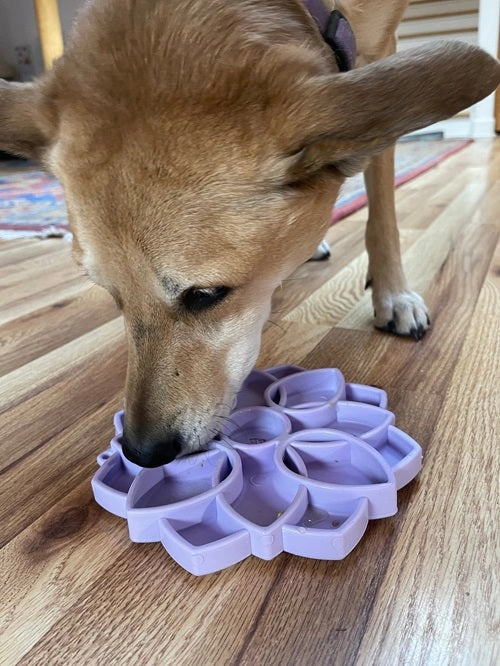 SodaPup Pastel Purple Mandala Softie eTray Enrichment Shallow Slow Feeder Bowl with Suction Cups for Dogs