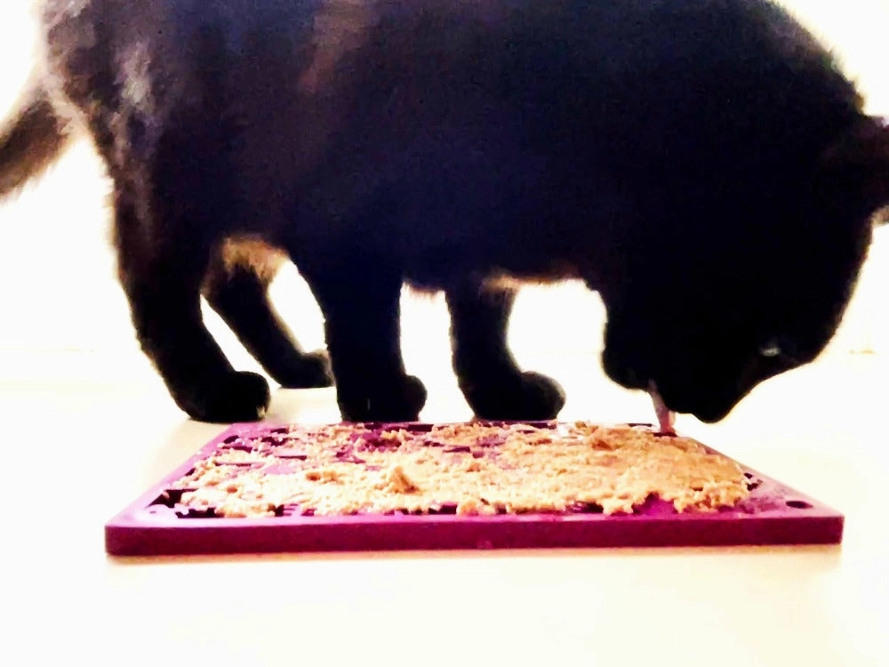 SodaPup Plum Fishy Design eMat Enrichment Lick Mat for Dogs & Cats