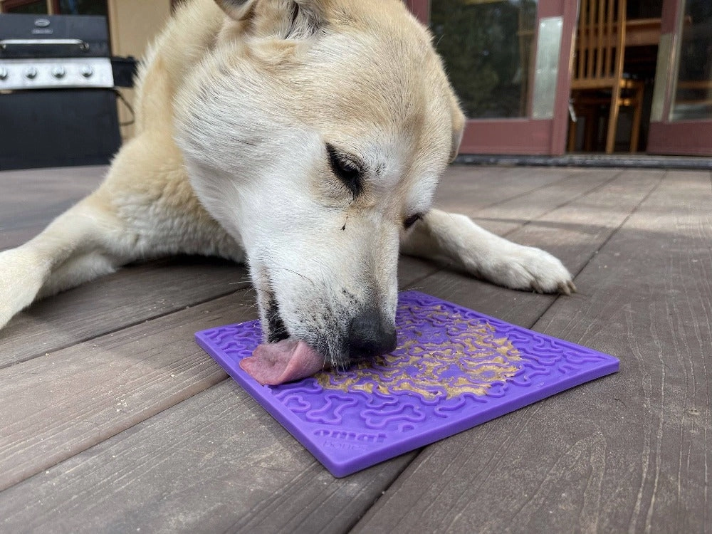 SodaPup Purple Bones Design eMat Enrichment Lick Mat for Dogs