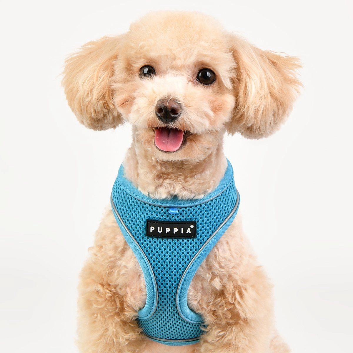 Soft Dog Harness Pro