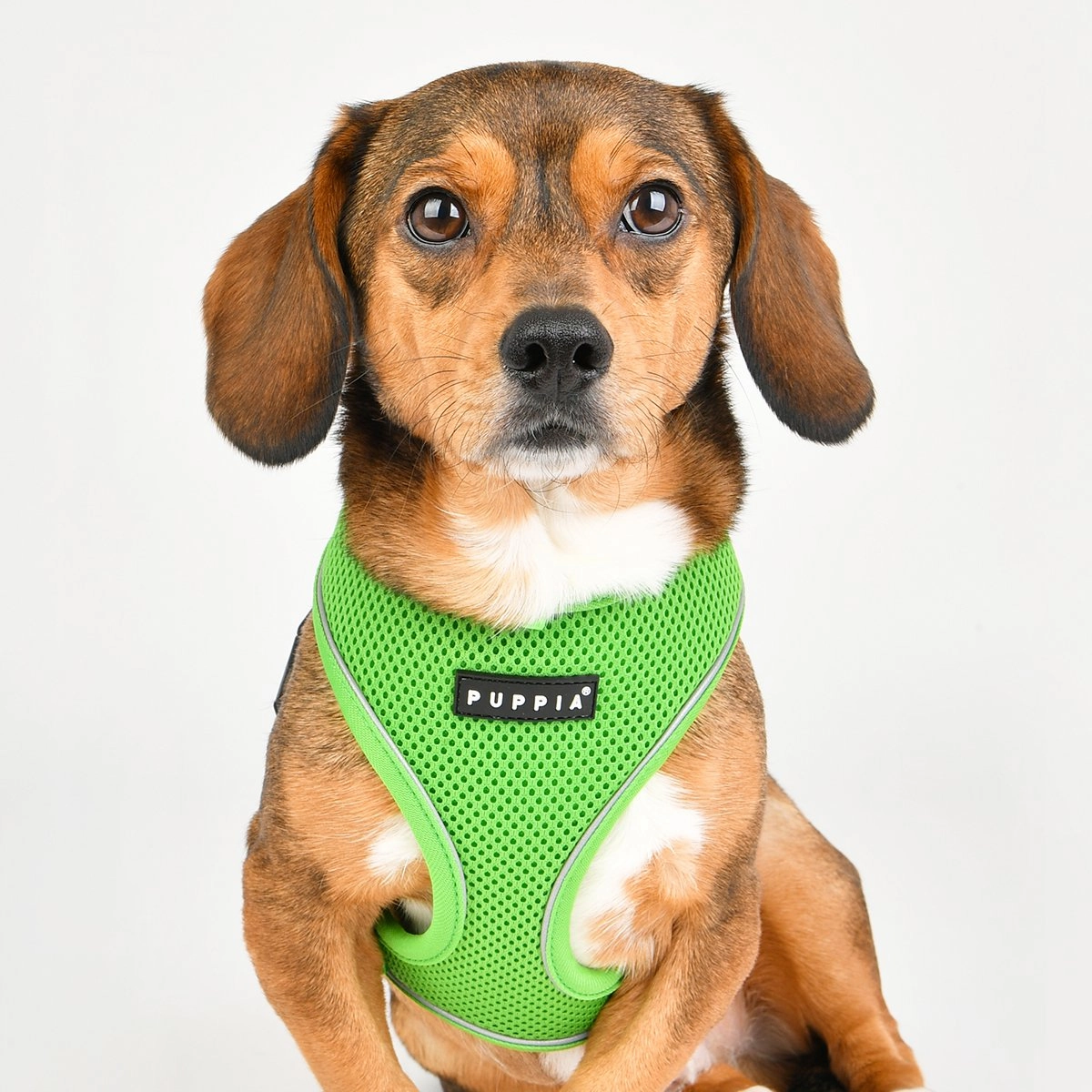 Soft Dog Harness Pro