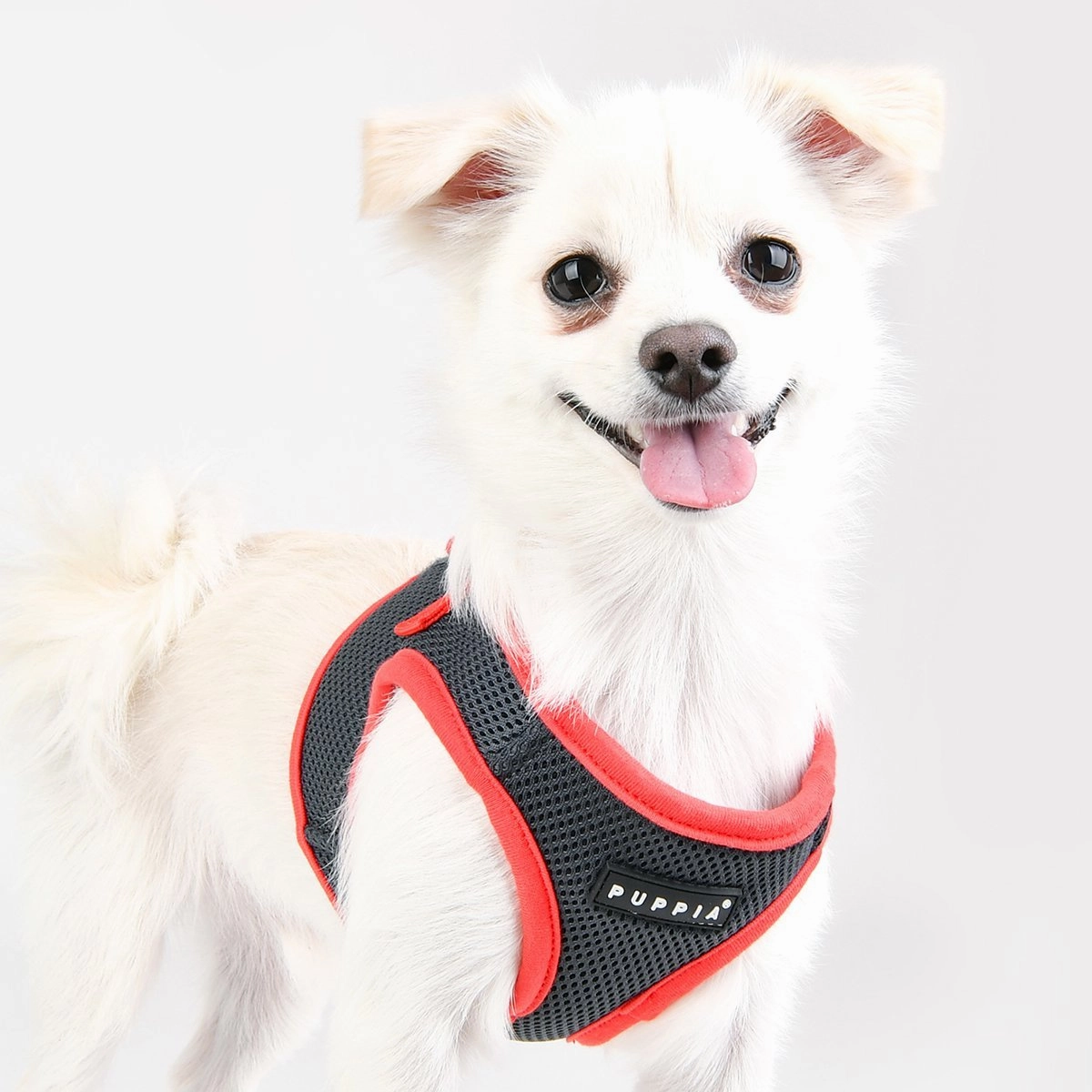 Soft Vest Dog Harness II