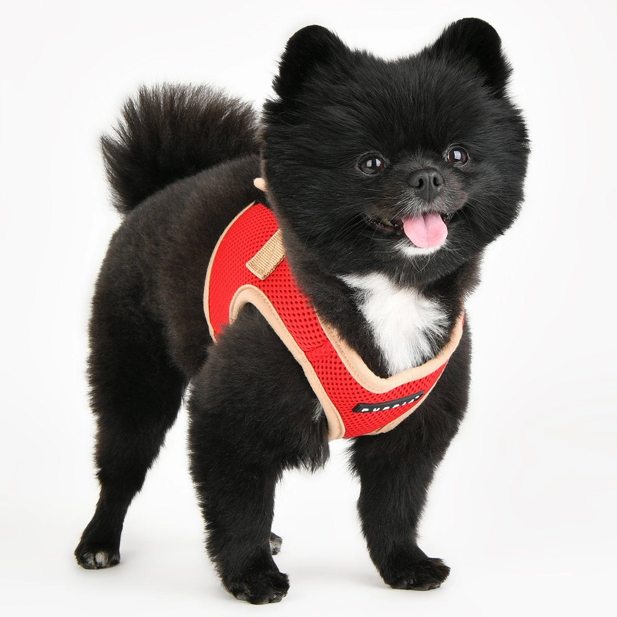 Soft Vest Dog Harness II