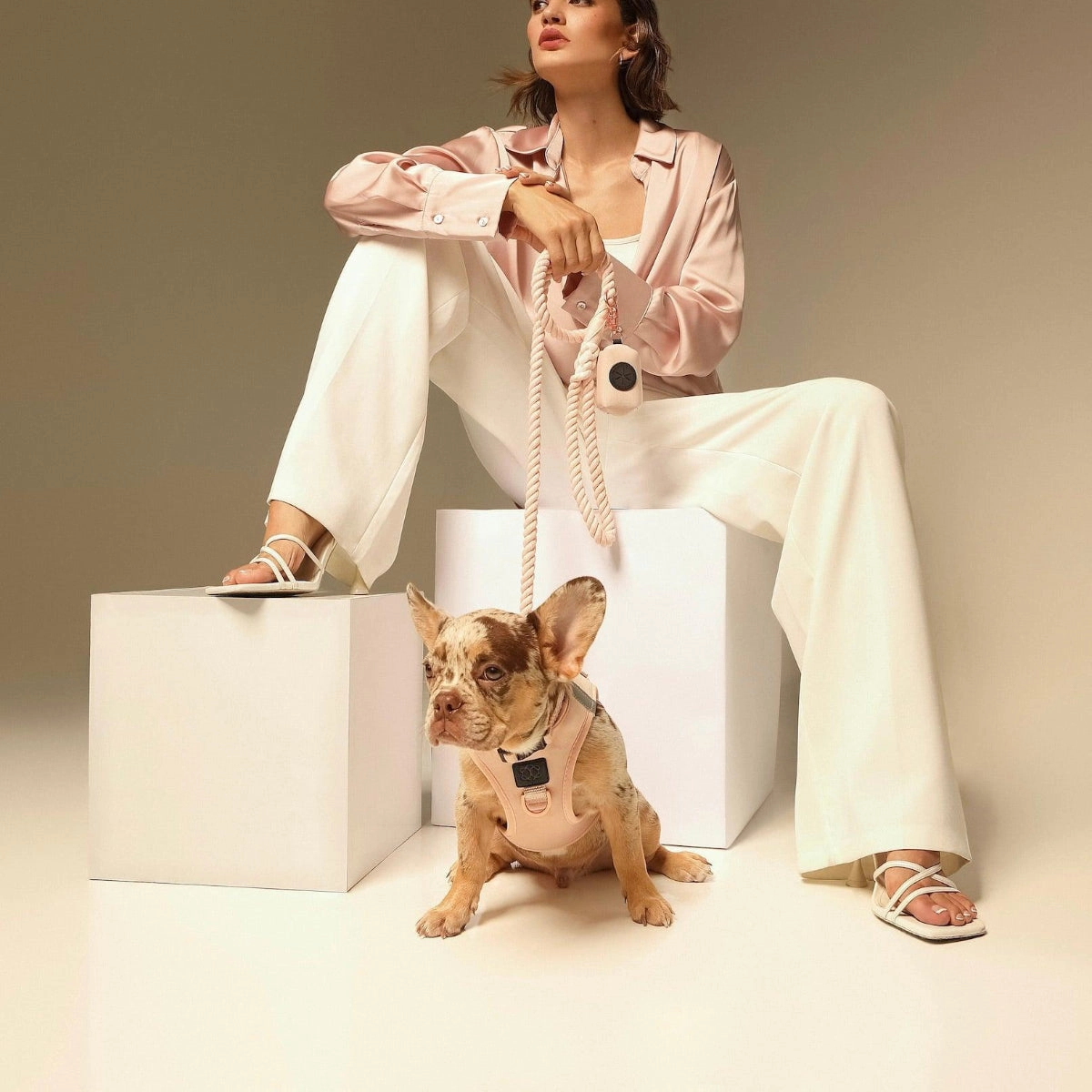 SoHo Dog Harness Blush Pink