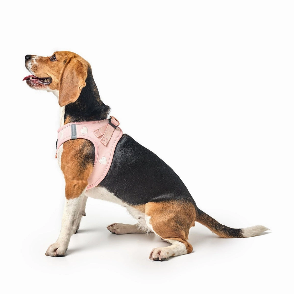 SoHo Dog Harness Sweetheart