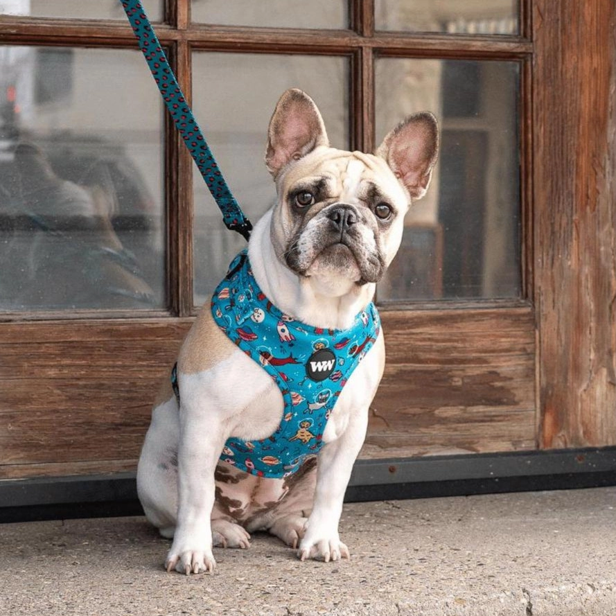 Space Dogs Adjustable Dog Harness